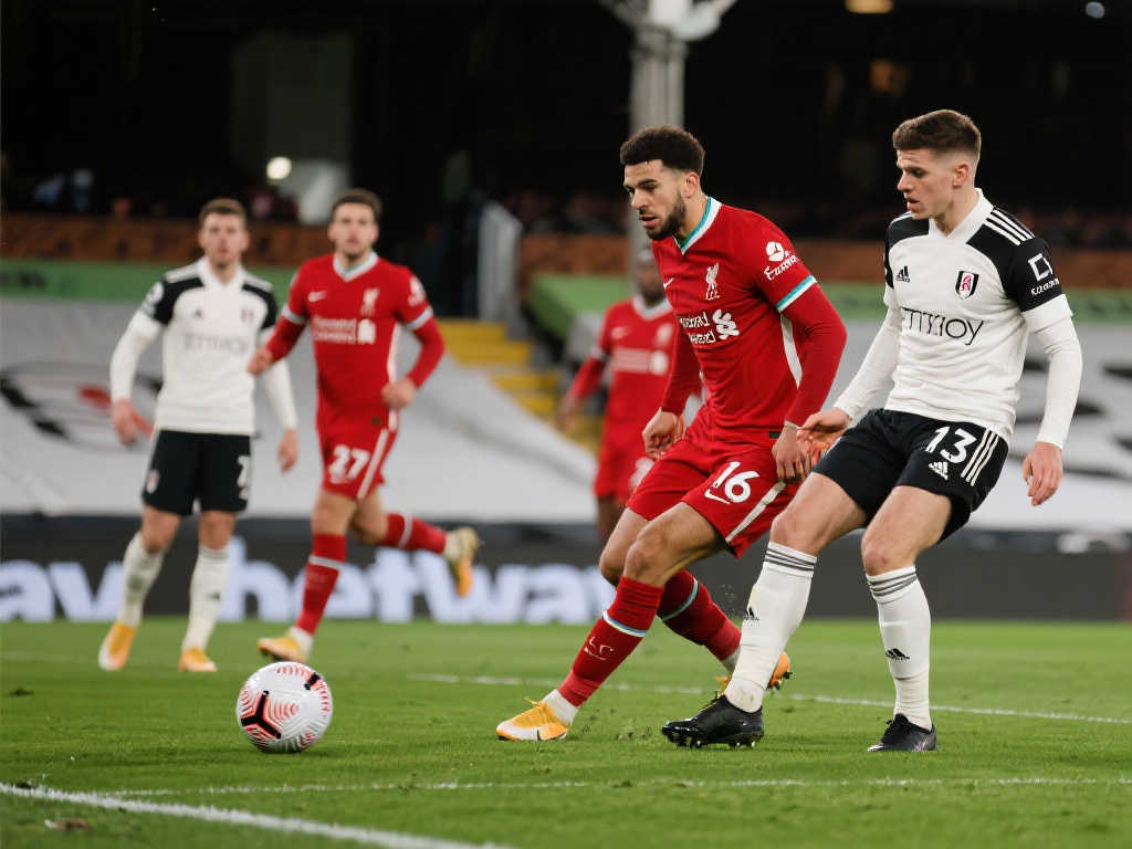 完美诠释了 完美诠释了